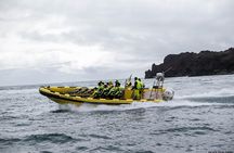 2 hour Round Trip in Vestmannaeyjar on a RIB Boat