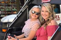 90 min NYC Private Gossip Girl Pedicab Tour 