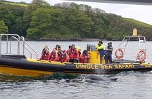 Exhilarating Rib experience - Dingle sea safari 