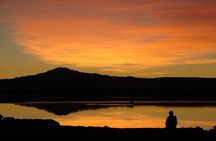 San Pedro de Atacama, Laguna de Chaxa and Toconao - Half day