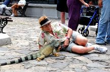 Classic Ecuador Tour 8D - 7N