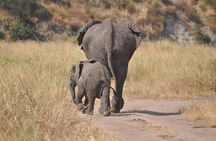 4 days Tanzania group safari to Serengeti, Crater and Tarangire