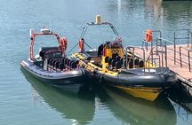 Exhilarating Rib experience - Dingle sea safari
