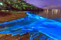 Blue Hole and Secret Falls with Luminous Lagoon(Glistening Waters) Private Tour