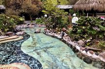 Papallacta Hot Springs & Guango Birding Reserve Private Tour