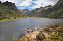 Papallacta Hot Springs & Guango Birding Reserve Private Tour