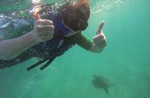 Cabo Rosa (Tuneles) Hiking & Snorkeling Tour from Isabela
