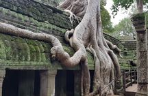 2 Day private tour: Small tour, Big tour, sunrise and sunset,floating village. 