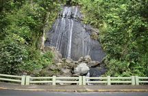 El Yunque Rainforest Guided Day Tour from San Juan