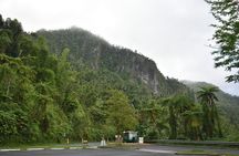 El Yunque Rainforest Guided Day Tour from San Juan