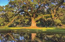 Houmas House Plantation Guided Tour