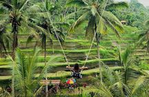 Amazing Bali Tour With 6 Places