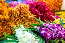 Bangkok: Night Bike Tour with Temples & Flower Market Visit