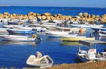 Guided Small-Group Tour to Tripoli and Batroun with Lunch 