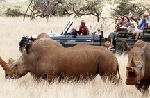 Maasai Mara road Safari 2 Nights 3 Days Group joining