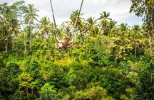 Lempuyang Temple and Bali Instagramable Tour 