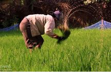 Day in a Life Authentic Village Experience in Siem Reap