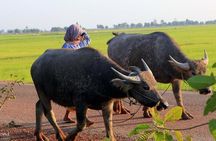 Day in a Life Authentic Village Experience in Siem Reap