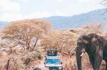 8 days Tanzania Mid range safari