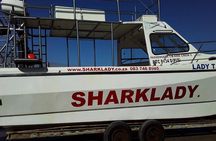 Shark Cage Diving