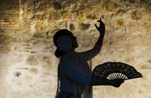 Flamenco, Tapas and Wine Tour: Best of Málaga in one Evening
