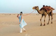 3 in 1 package sale (City tour-Safari-dinner cruise)
