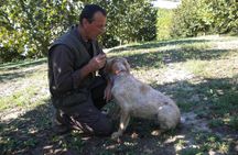 Truffle Hunt & Wine Tasting