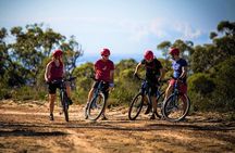 Blue Labyrinth PRIVATE Tour: Sydney Blue Mountains by E-Bike 