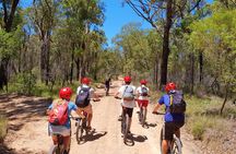 Blue Labyrinth PRIVATE Tour: Sydney Blue Mountains by E-Bike 