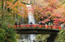 Osaka Private Food Tours by Local Foodies: 100% Personalized