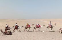 Private tour 5 Days Cairo & Sharm El Sheikh package