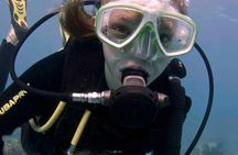 Discover Scuba Diving - One Tank at Coral Reef