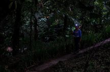 Guided Night Hike Arenal Mundo Aventura
