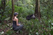 6-Day Gorilla Trekking and Kampala City Tours