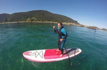 Paddle Surf in Cantabria