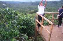 Coffee tour and thermal waters