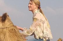 Cairo: Private 2-Day Tour