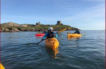 Dublin Bay Seal Kayaking Safari at Dalkey
