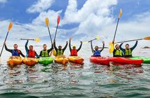 Dublin Bay Seal Kayaking Safari at Dalkey