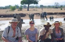 7 Day Safari To Selous, Mikumi and Ruaha National Parks + transfers