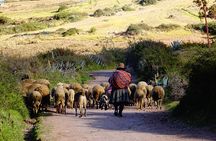 Explore the Sacred Valley with us!
