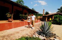 From Mazatlan - La Noria Artisan Tour The Blue Agave