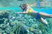 24 Hours Private Boat Snorkeling sea trip and Fishing With equipment - Hurghada