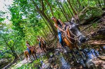 Vida Aventura Ranch Experience
