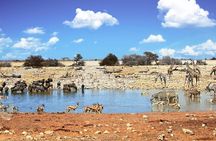7 Days-Desert adventure, Swakopmund & Etosha Lodging Tour