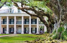 Oak Alley or St. Joseph Plantation with Shuttle From New Orleans