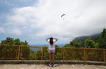 Private Tour: Tijuca National Park with a Photographer