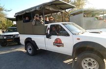 ETOSHA PARK SAFARI with local guides in 9-seater 4x4s