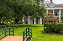 Oak Alley or St. Joseph Plantation with Shuttle From New Orleans