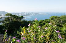 Sugarloaf Mountain Private Tour with a Photographer